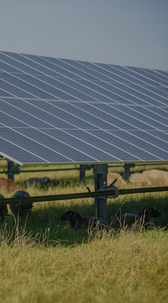Sowind Enerji Arazı Tipi Güneş Paneli (2)